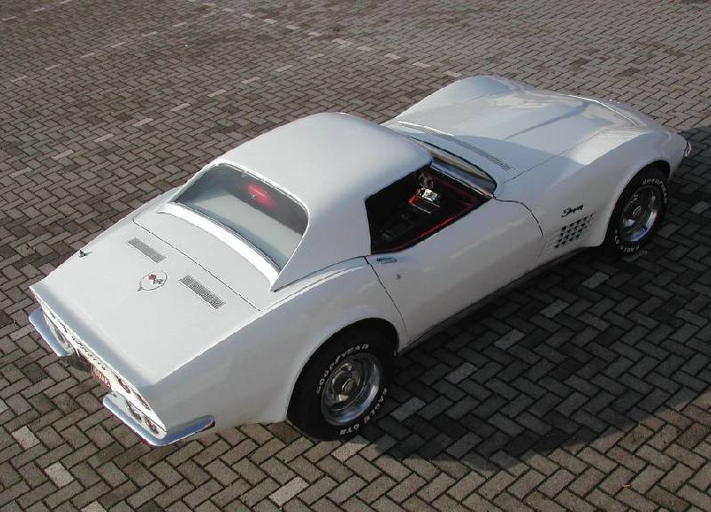 MARTINSRANCH 72 Stingray white red (6) 